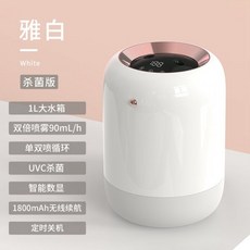 1l가습기