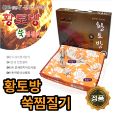 초특가-새한전자 찜질기 찜질팩 허리찜질기 어깨찜질, 02.황토방 쑥 찜질기 디지털