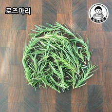 로즈마리데코용