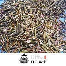 자연산벌나무