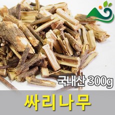 싸리나무