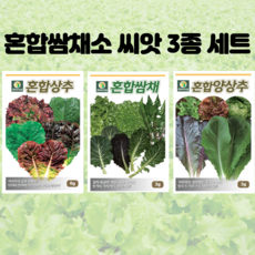 혼합 쌈채소 씨앗 3종 세트 상추 쌈채 양상추 채소씨앗 주말농장 텃밭 홈가드닝