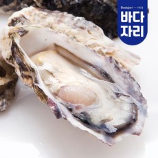 통영 제철 석화 하프셀 반각굴 3단 3.6kg 내외, 1개