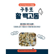 구룡포백고동