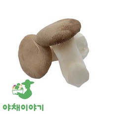 야채이야기 새송이버섯 500g 1팩, 1개