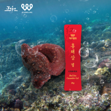 안목해변서핑