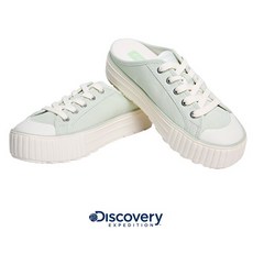 디스커버리뮬리