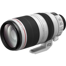 캐논ef100-400