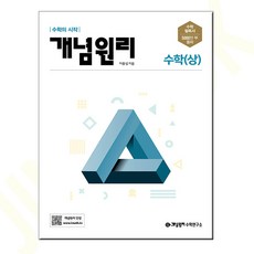 개념원리 고등 수학(상) : 하나를 알면 10개 20개를 풀 수 있는 개념원리수학 개정증보판, 수학영역