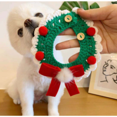 강아지케이프도안