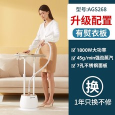 딜루비스스팀다리미