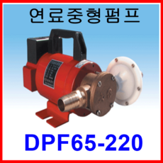 대화 전기 펌프 DPF65S-220 중형 연료 배수 펌프 단상 AC 220, 1개