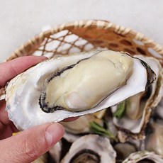 통영 산지 굴 석화 하프셀 각굴 세척 석화 제철 5kg 10kg, 1개, 석화 5kg