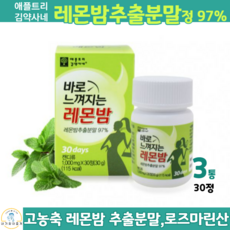 레몬밤효능