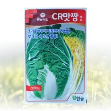 농사친구 CR맛짱 2000립 + em아이스팩 배추 씨앗 팜한농 씨 종자 김장 배추 무 채소 텃밭 베란다 모종 불암 토광 알타리 베타, 2000립 1봉 + EM아이스팩