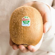 제주 제스프리 골드키위 점보과 특대과 선물세트, 1박스, 특대과 5.8kg