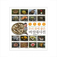 순우리말대사전