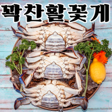 찜용꽃게