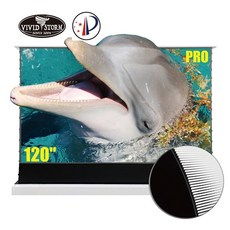 비비드스톰롤러블스크린