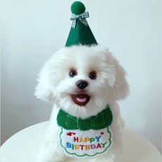 펫로디 강아지 고양이 생일 스카프+꼬깔 세트, 그린, 1세트 - 강아지케이크12cm반려견수제