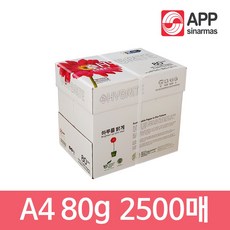 하이브라이트 A4용지 80g 1박스 2500매 복사용지, 색상:[색상]본상품