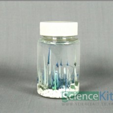 화학정원키트
