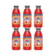 Snapple 스내플 올 내츄럴 애플 사과 주스 473ml 6개