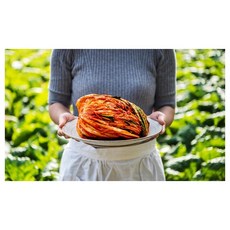 홍진경더김치8kg-추천-상품