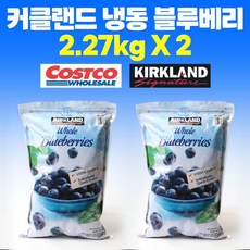커클랜드 냉동블루베리 드라이아이스포장 코스트코, 4.54kg (+600g 드라이아이스), 1개