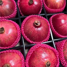 명절 설 선물세트 선물용 석류, 1박스, [선물용] 석류 5kg (9-11과)