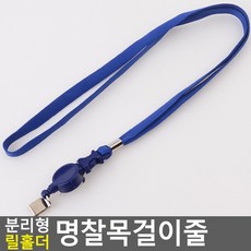 모형초