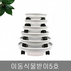 //상품명