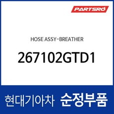 호스-브리더 (267102GTD1) 아반떼N 벨로스터N 코나N