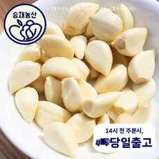 ( 승재농산 ) 마늘(대) 깐마늘 1kg 2kg 3kg 10kg, 1개