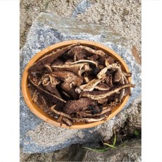 국산 강원도 인제 자연산 건조 건능이버섯 50g 100g [원산지:국산(강원도 인제군)], 1개
