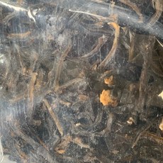 마른 해삼채 600g 슬라이스 말린 건조 유산슬 외국산(러시아 미국 베트남), 1개