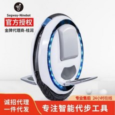 외발전동휠 나인보 Ninebot One C/C+/E 차체감각기, 01 One E (모델 배터리 새로운 것), 01 60V