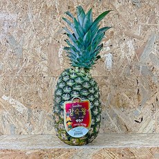 감숙왕 파인애플 1통, pineapple