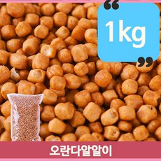 아리곳간오란다