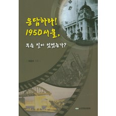 응답하라! 1950 서울 무슨 일이 있었는가?, 전쟁과평화연구소