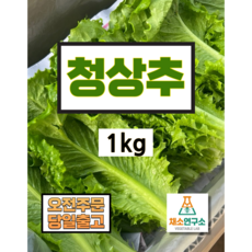 [채소연구소] 청상추 1kg 2kg 4kg 당일수확 상추 산지직송, 1개