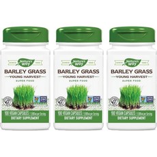 네이처스웨이 Natures Way Barley Grass Young Harvest 네이처스 웨이 새싹보리 1500mg 비타민 A C 함유 100정 3병, x, 1개