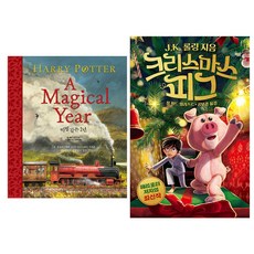 해리포터마법같은1년