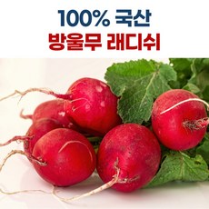 적환무2kg