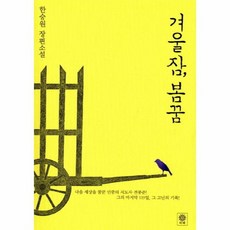 겨울잠 봄꿈 한승원 장편소설, 상품명