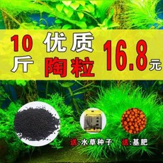 0a369cc7bc9c4c30fa4e95c7b33ab547f423d0cef582493768097bfc1384.jpeg