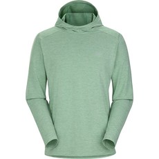 아크테릭스코막