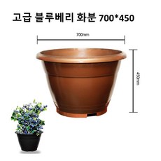 고급 블루베리 화분 (700) (흑색) DR191