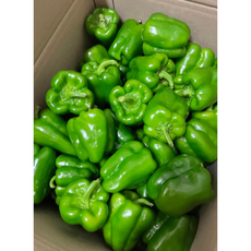 국산/국내산 상품 피망 청피망 2kg 5kg 못난이 파프리카, 1개