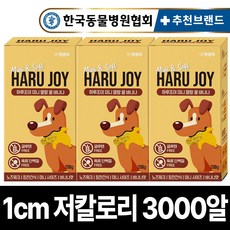 루이독 TOP01